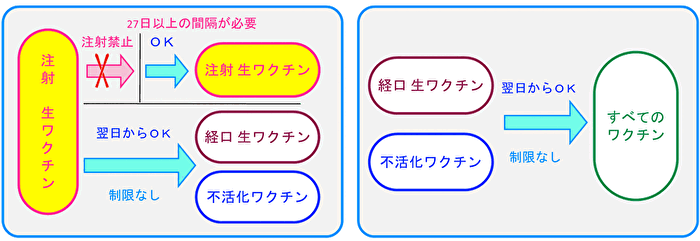 ワクチン接種間隔 ワクチン接種間隔